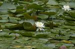 Dcim4866/DSC_0166