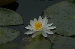 Dcim4866/DSC_0173
