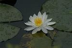 Dcim4866/DSC_0174