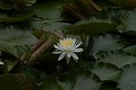 Dcim4866/DSC_0187