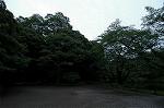 Dcim4866/DSC_0224