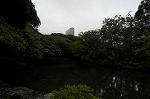 Dcim4866/DSC_0234