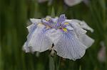 Dcim4866/DSC_0241