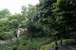 Dcim4867/DSC_0321
