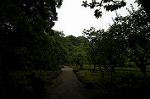 Dcim4867/DSC_0325