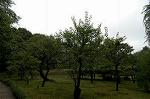 Dcim4867/DSC_0327