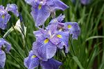 Dcim4867/DSC_0339