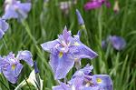 Dcim4867/DSC_0340