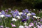 Dcim4867/DSC_0364