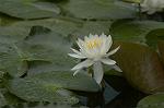 Dcim4868/DSC_0392