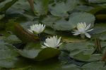 Dcim4868/DSC_0399