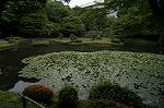 Dcim4868/DSC_0410