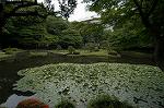 Dcim4868/DSC_0411
