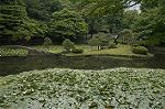 Dcim4868/DSC_0412