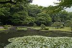 Dcim4868/DSC_0413