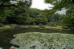 Dcim4868/DSC_0414