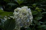 Dcim4868/DSC_0471