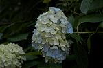 Dcim4868/DSC_0476
