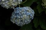 Dcim4868/DSC_0480