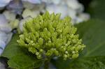 Dcim4868/DSC_0482