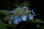 Dcim4868/DSC_0489
