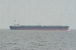 Dcim4874/DSC_0782