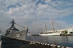 Dcim4877/DSC_1242