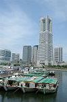 Dcim4881/DSC_1387