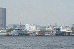 Dcim4884/DSC_1771