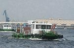Dcim4884/DSC_1788