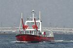 Dcim4886/DSC_2053
