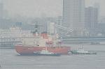 Dcim4895/DSC_2458