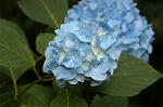 Dcim4904/DSC_0563