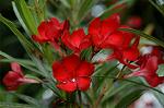 Dcim4904/DSC_0652