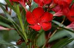 Dcim4904/DSC_0653