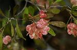 Dcim4905/DSC_0658