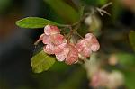 Dcim4905/DSC_0659