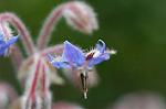Dcim4905/DSC_0676