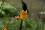Dcim4906/DSC_0783
