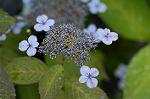 Dcim4906/DSC_0804