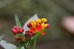 Dcim4906/DSC_0837