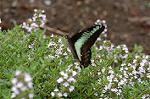 Dcim4906/DSC_0866