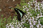 Dcim4906/DSC_0876