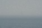 Dcim4910/DSC_1242