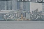 Dcim4911/DSC_1372