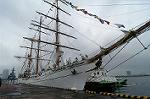 Dcim4912/DSC_1509