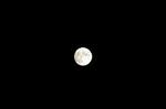 Dcim4914/DSC_1802