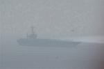Dcim4921/DSC_2167