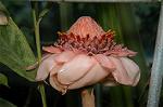 Dcim4923/DSC_2511