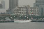 Dcim4925/DSC_3784
